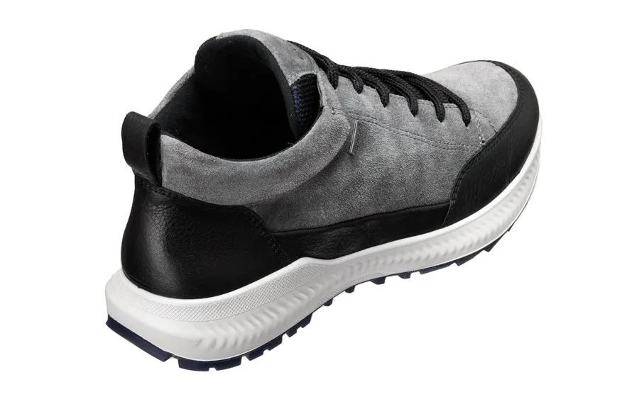 Ara Ribena Grey
