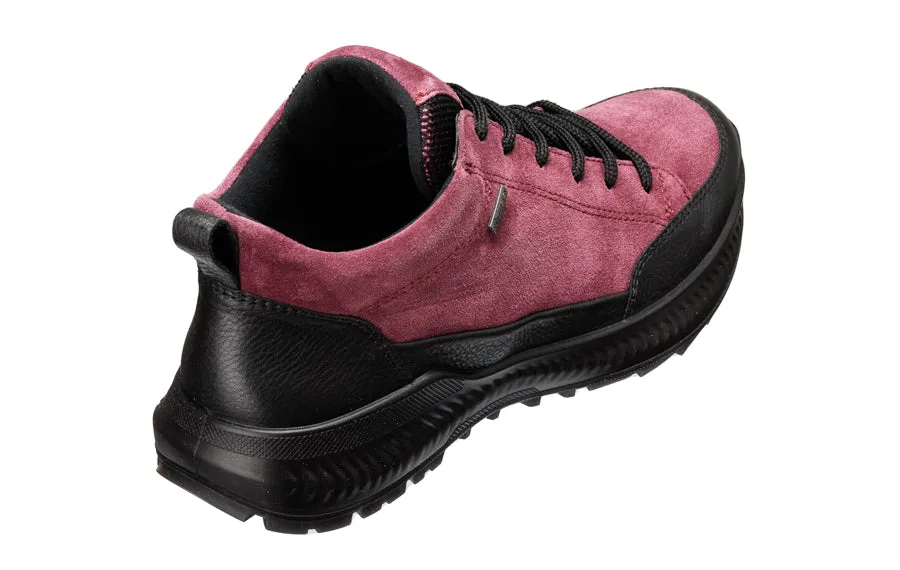 Ara Ribena Purple