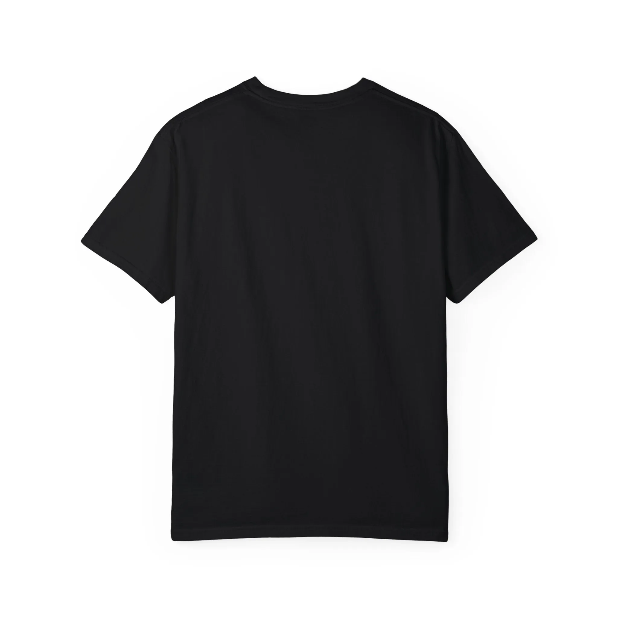 KPD Ministry Not Hood Straight Holy Garment-Dyed T-shirt