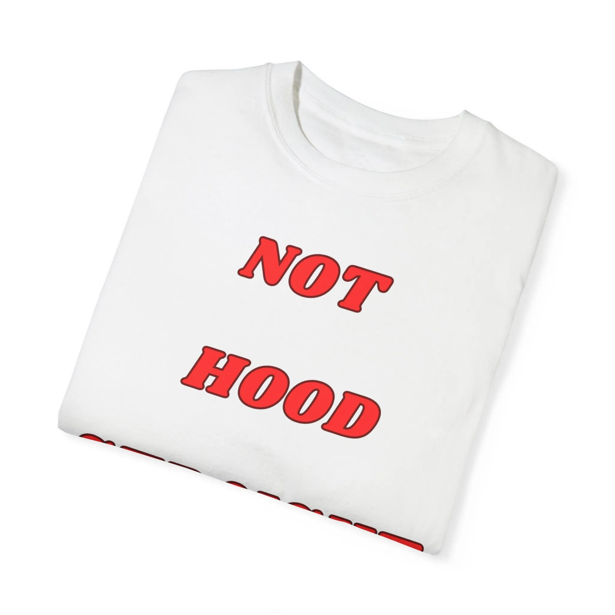KPD Ministry Not Hood Straight Holy Garment-Dyed T-shirt