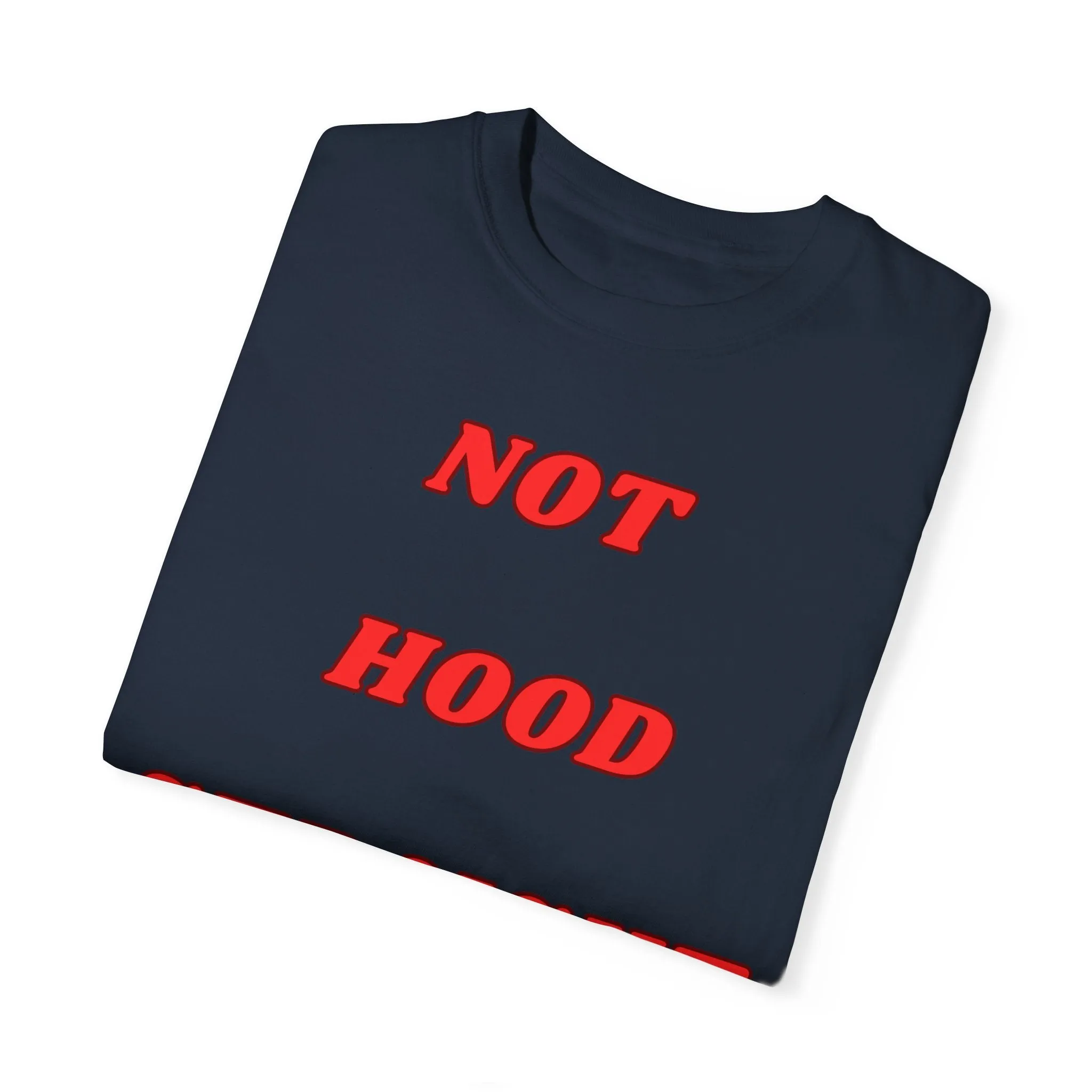 KPD Ministry Not Hood Straight Holy Garment-Dyed T-shirt
