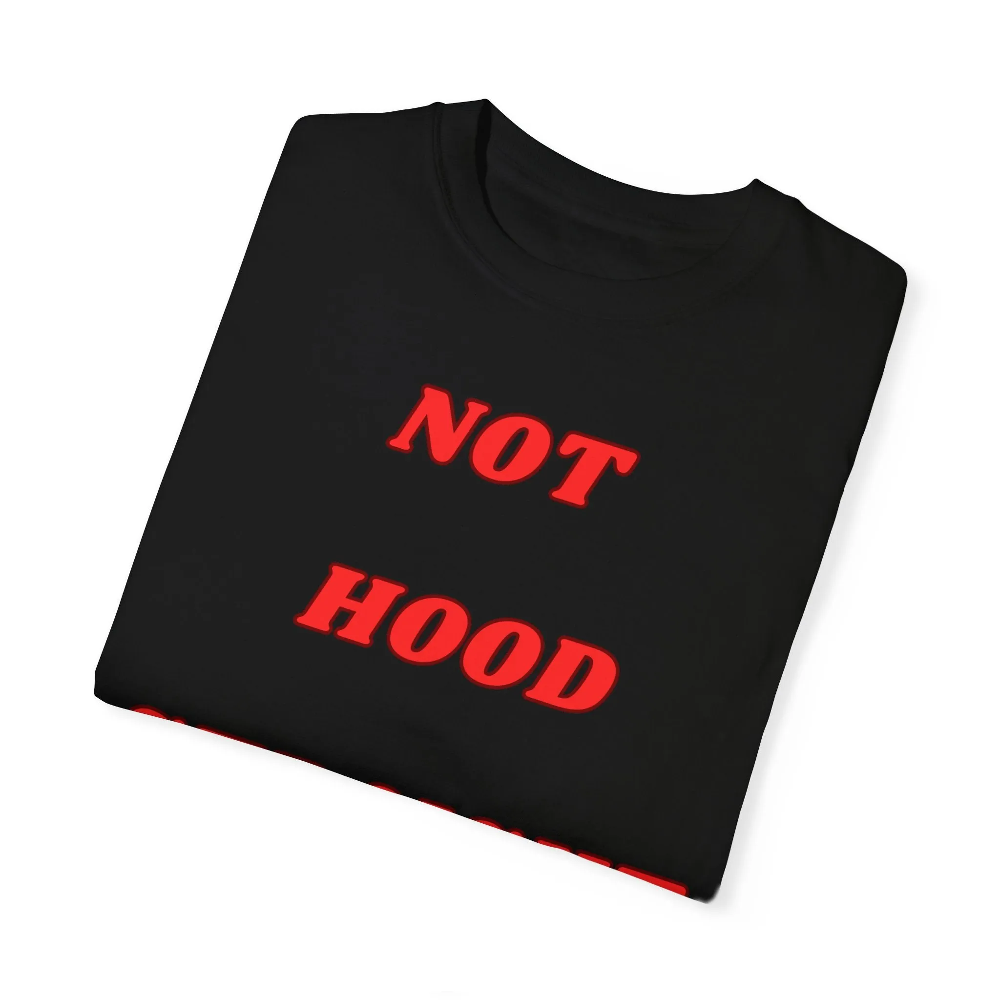 KPD Ministry Not Hood Straight Holy Garment-Dyed T-shirt