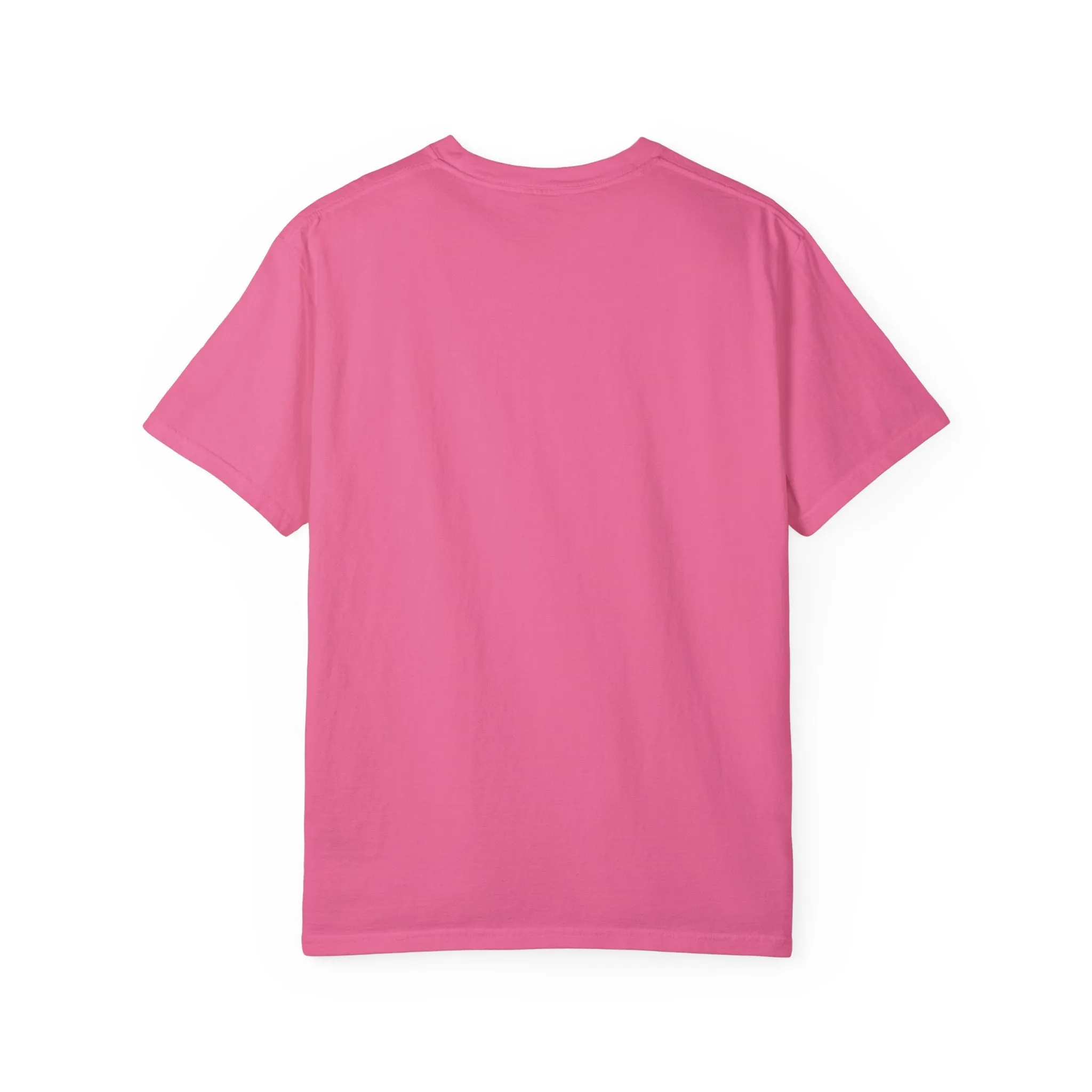 KPD Ministry Not Hood Straight Holy Garment-Dyed T-shirt
