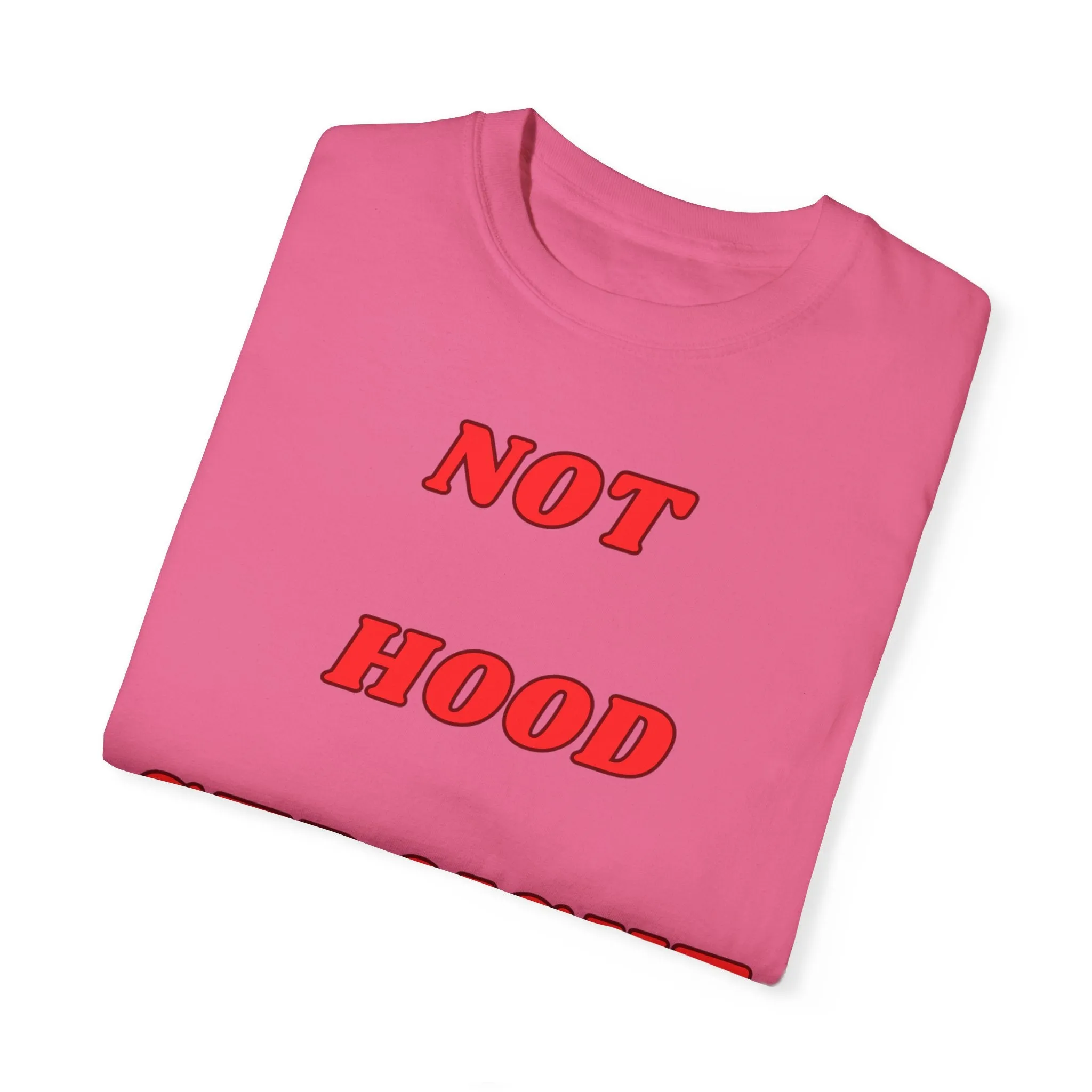 KPD Ministry Not Hood Straight Holy Garment-Dyed T-shirt