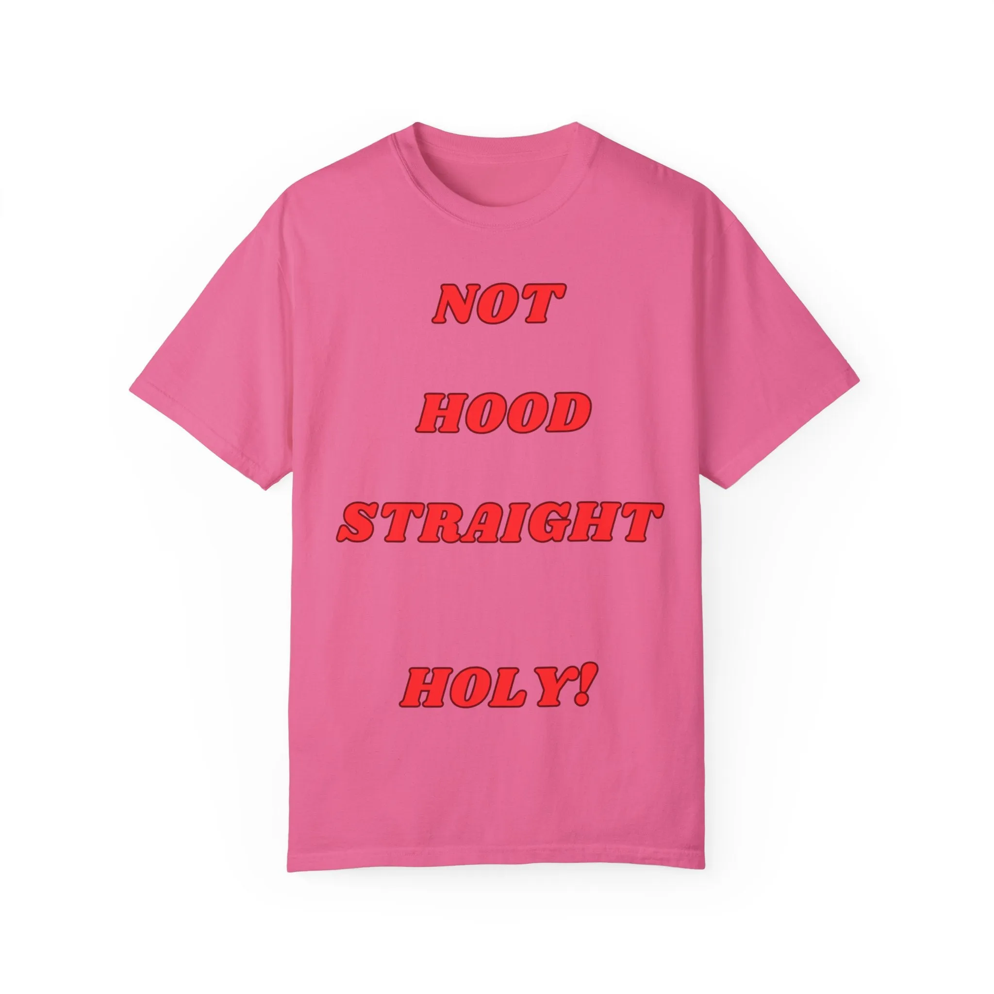 KPD Ministry Not Hood Straight Holy Garment-Dyed T-shirt